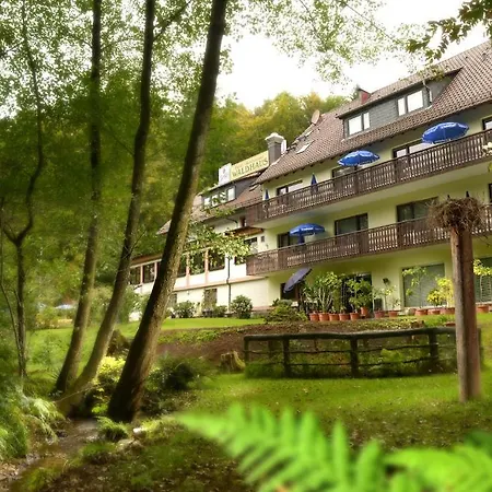 Waldhaus 3*